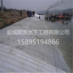 廉江水下模袋混凝土工程